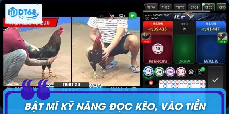 Học ngay kỹ năng chọn kèo đỉnh cao trong sàn đấu gà cựa sắt