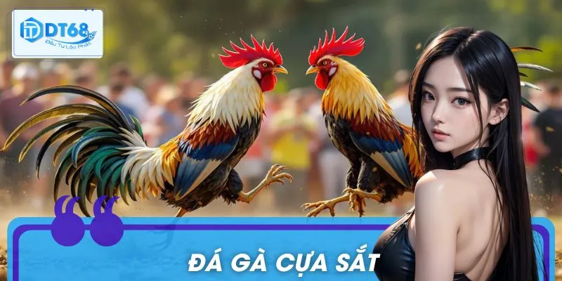 Đá Gà Cựa Sắt: Tuyệt Kỹ Vào Kèo Chuẩn Cao Thủ Chớ Bỏ Lỡ