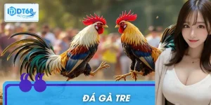Đá Gà Tre: Bí Quyết Bắt Kèo Chiến Kê Nhỏ Nhưng Siêu Lợi Hại 