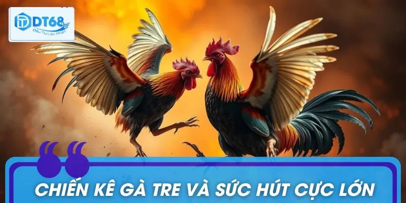 Thông tin sơ lược giới thiệu về sàn đấu gà tre