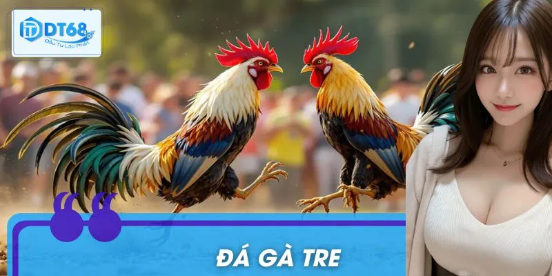 Đá Gà Tre: Bí Quyết Bắt Kèo Chiến Kê Nhỏ Nhưng Siêu Lợi Hại 