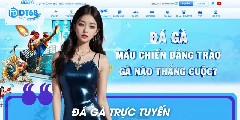 Dt68 - Link Đăng Ký Chuẩn, Không Chặn Mới Nhất Đá gà đem đến một sân chơi sống động và kịch tính