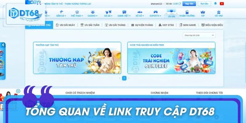 Liên hệ với bộ phận hỗ trợ khi gặp lỗi link vào DT68